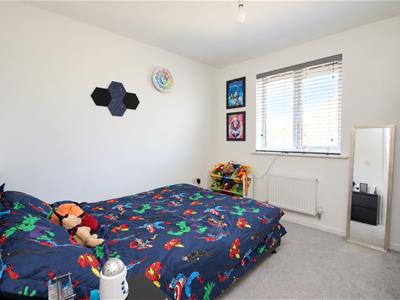 Picture 13